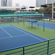 天河網球學校