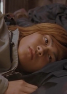 害蟲(日本2002年鹽田明彥導演電影)