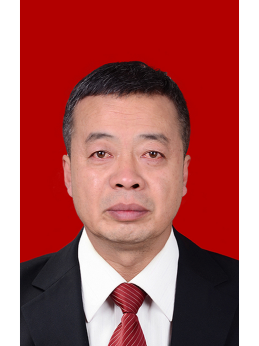 白澤(甘肅省隴南市徽縣發展和改革局黨組書記、局長) 白澤(甘肅省隴南市徽縣發展和改革局黨組書記、局長)