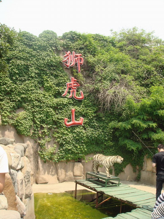 青島動物園獅虎山