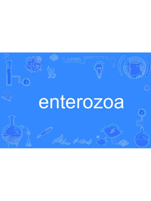 enterozoa enterozoa