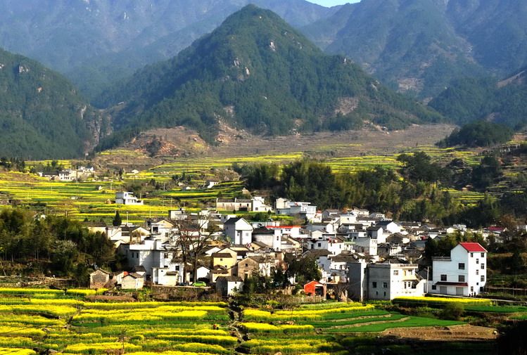 求家坎村 求家坎村