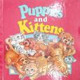 Puppies and Kittens(Dandi Daley Mackall著圖書) Puppies and Kittens(Dandi Daley Mackall著圖書)