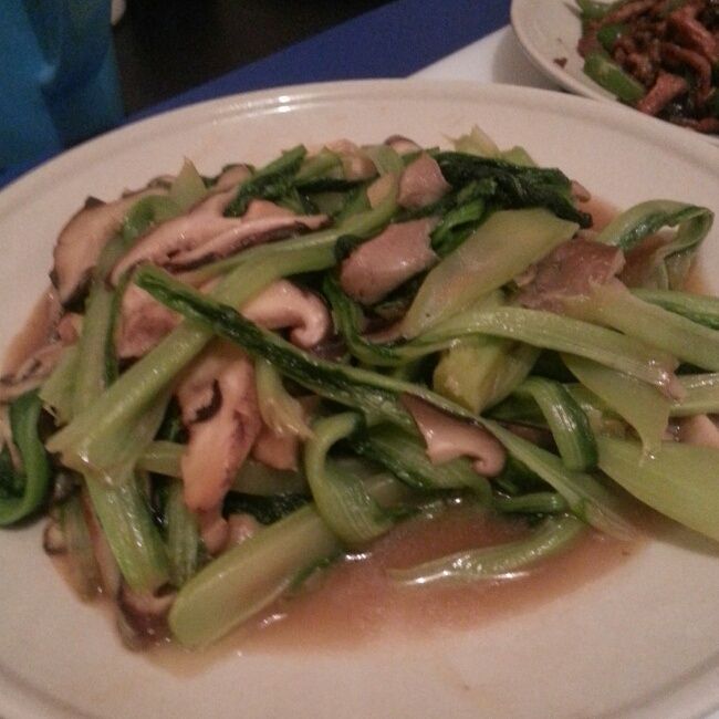 雙菇鳳尾 雙菇鳳尾