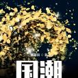 國潮1980 國潮1980