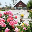 蘇州月季公園 蘇州月季公園