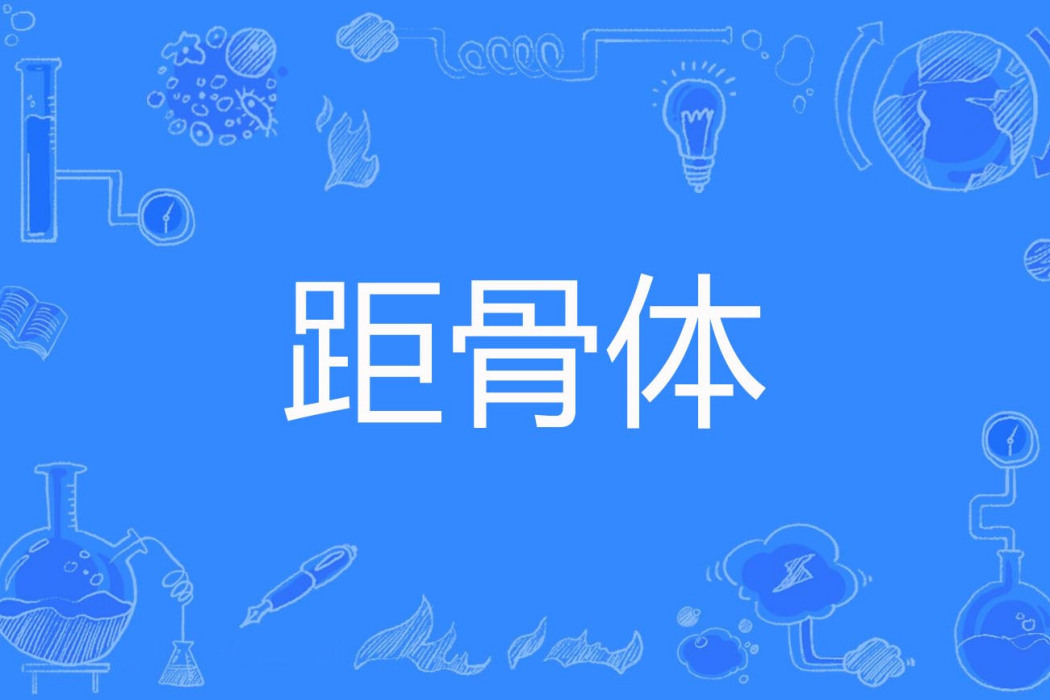 距骨體 距骨體