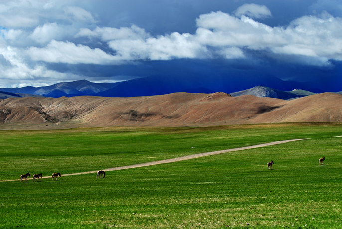 藏北大草原