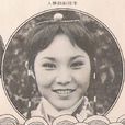 紅樓夢(1978年台灣華視電視劇) 紅樓夢(1978年台灣華視電視劇)