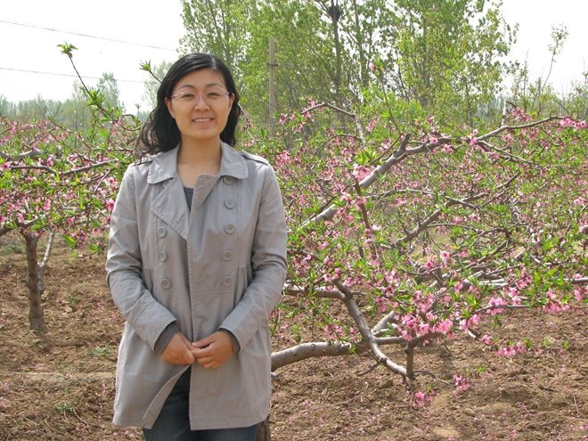 馬衛花 馬衛花