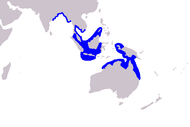 伊河海豚地理分布