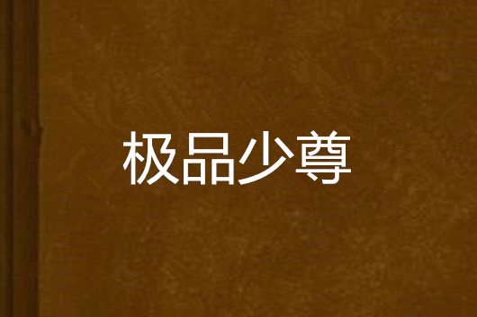 極品少尊 極品少尊