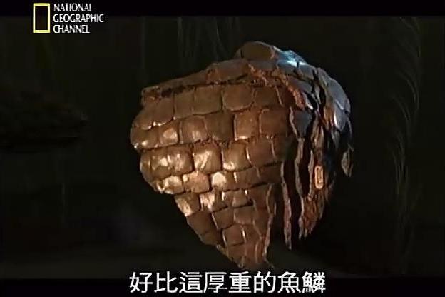 演化足跡