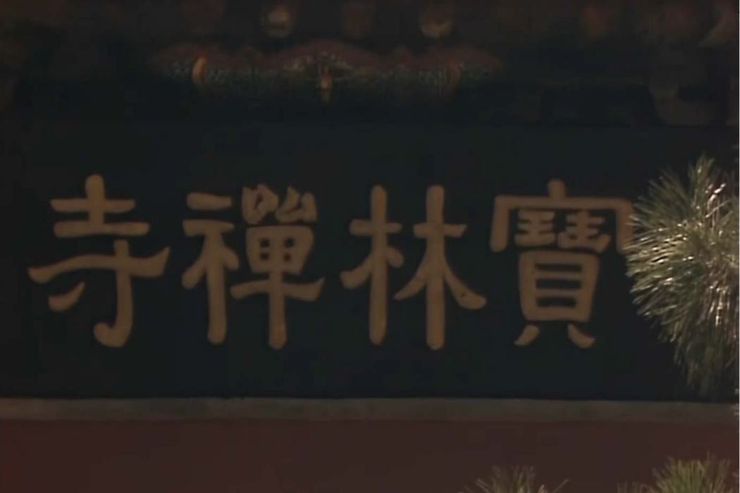 寶林寺(小說《西遊記》中的寺廟) 寶林寺(小說《西遊記》中的寺廟)