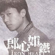 郎心如鐵(2010年張旗執導電視劇) 郎心如鐵(2010年張旗執導電視劇)