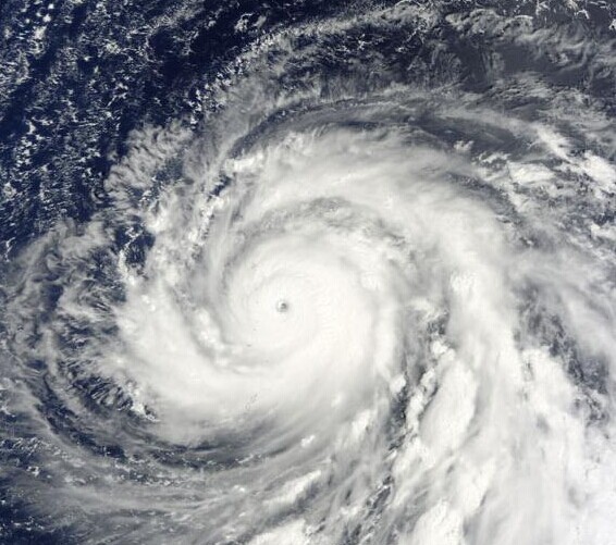 1985年太平洋颱風季