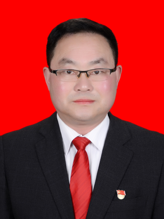 陳雙(嵐皋縣政協副主席) 陳雙(嵐皋縣政協副主席)