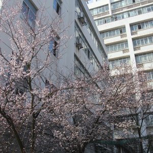 湘潭大學 湘潭大學