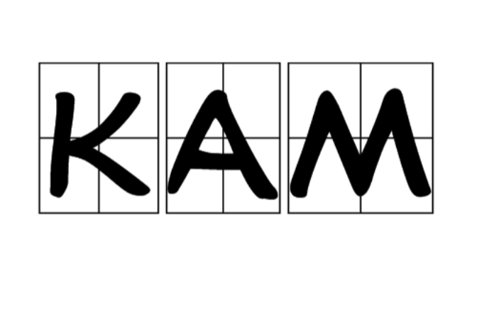 Kam(經濟術語、大客戶管理簡稱)