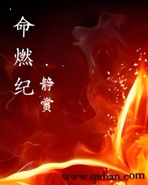 命燃紀 命燃紀