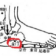 金闕穴 金闕穴