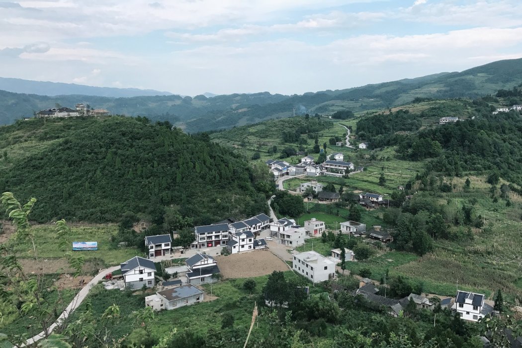 趙爾坪 趙爾坪