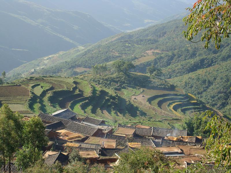 根樹村 根樹村
