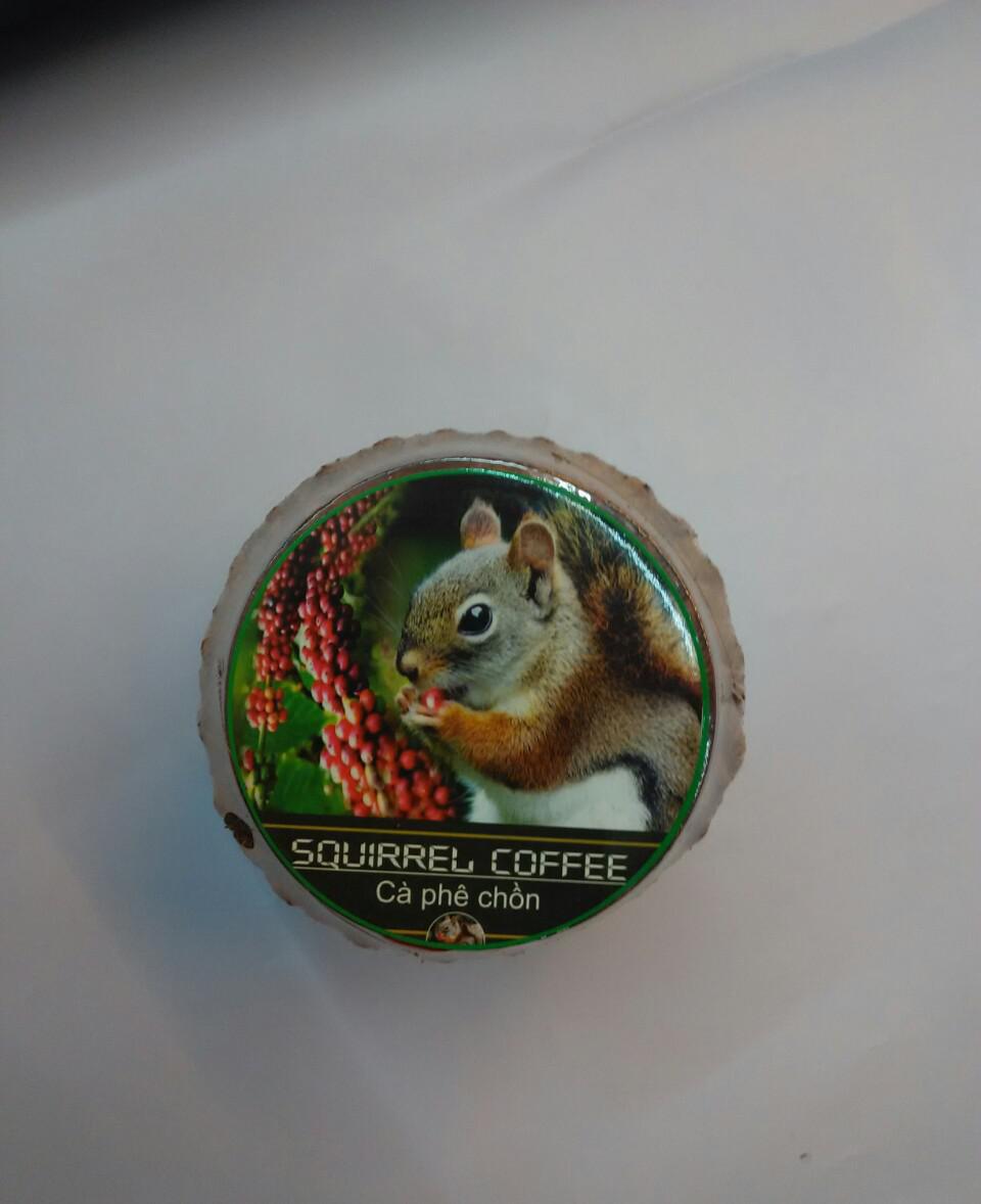 松鼠咖啡