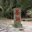茶洞 茶洞