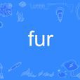 Fur(英文單詞) Fur(英文單詞)