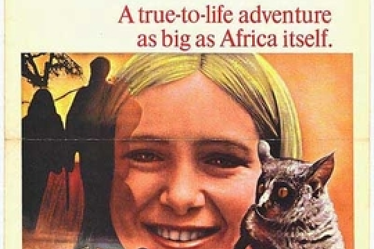 The Bushbaby The Bushbaby