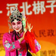 金剛鑽(河北梆子名家) 金剛鑽(河北梆子名家)
