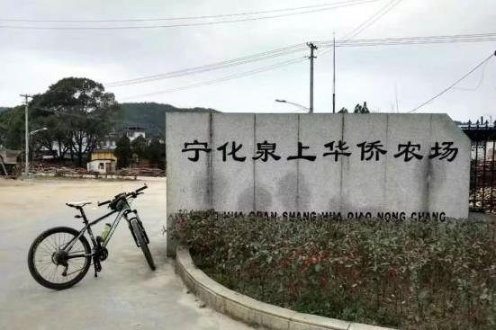 泉上華僑農場 泉上華僑農場