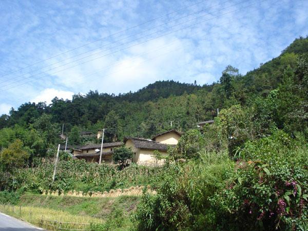 龍樹坪子村 龍樹坪子村