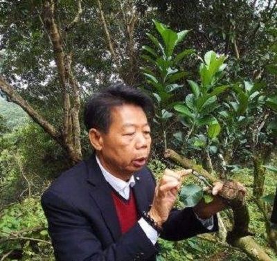 吳德祥(化州市益利化橘紅專業合作社創始人)