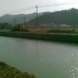 河楊湖村 河楊湖村