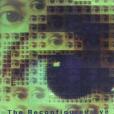 The Reconfigured Eye The Reconfigured Eye