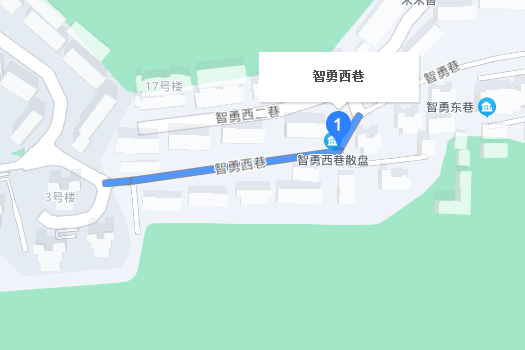 智勇西巷 智勇西巷