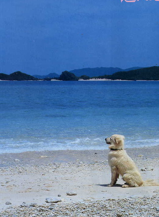三浦友和 三浦友和