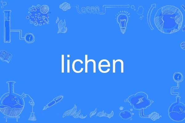 lichen lichen