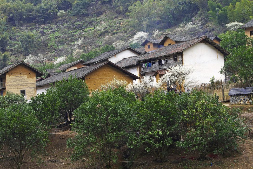 中心梁 中心梁