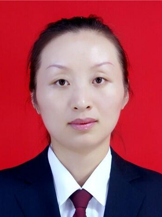 李娜(陝西省寶雞市鳳縣文化和旅遊局副局長)