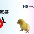 甲型H5N1