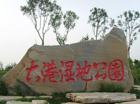 大港公園 大港公園