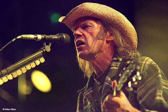 尼爾·楊(Neil Young)