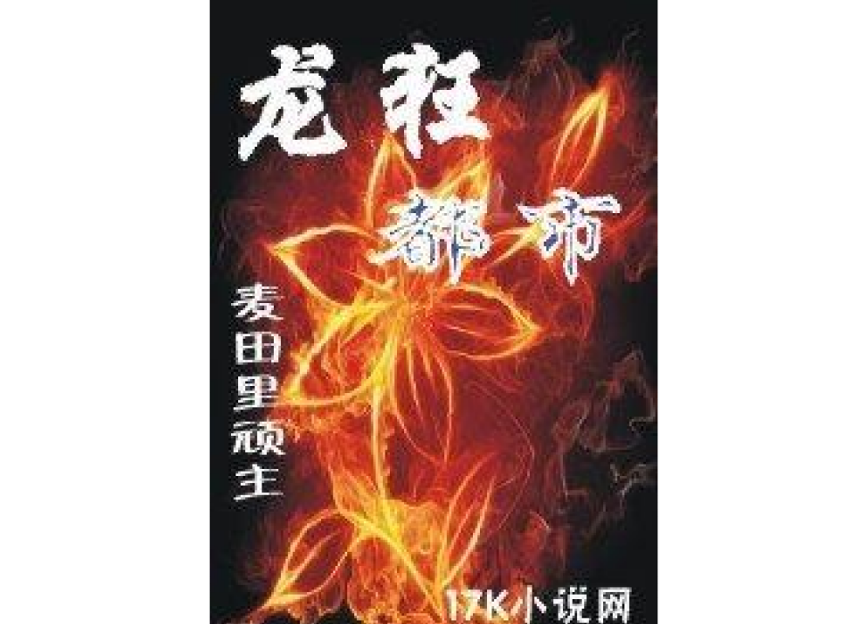 龍狂都市(麥田裡頑主所著小說)