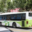 天津公交916路 天津公交916路