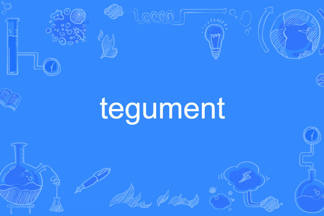 tegument tegument