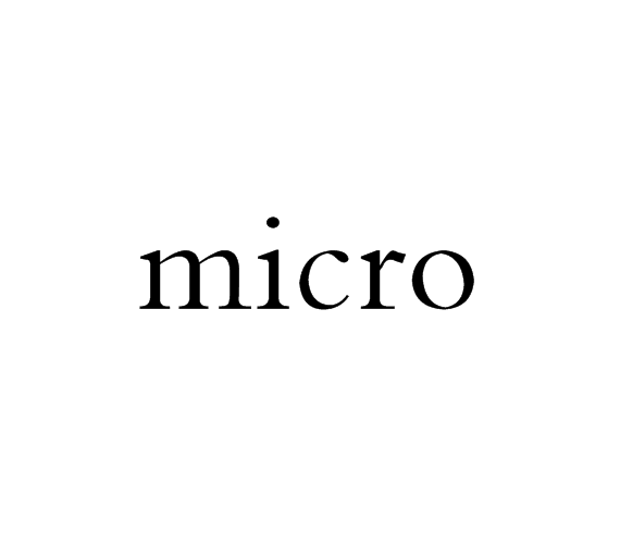 micro(單詞)