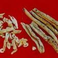 牡羊鮮 牡羊鮮